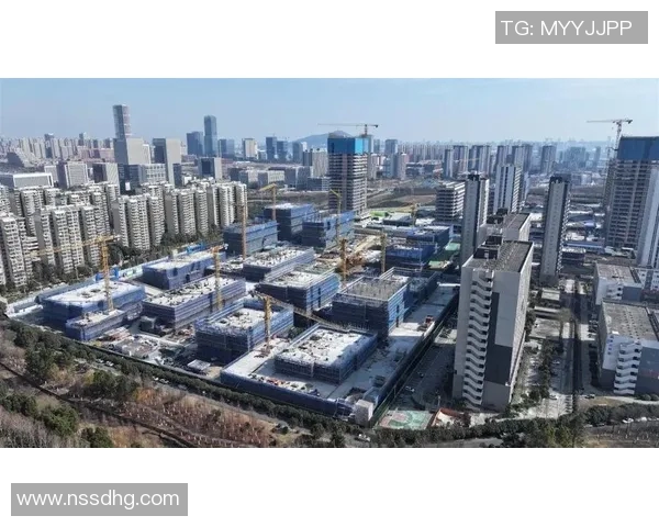 合肥科创：量子通信与人工智能领域的创新精神及产学研融合探索